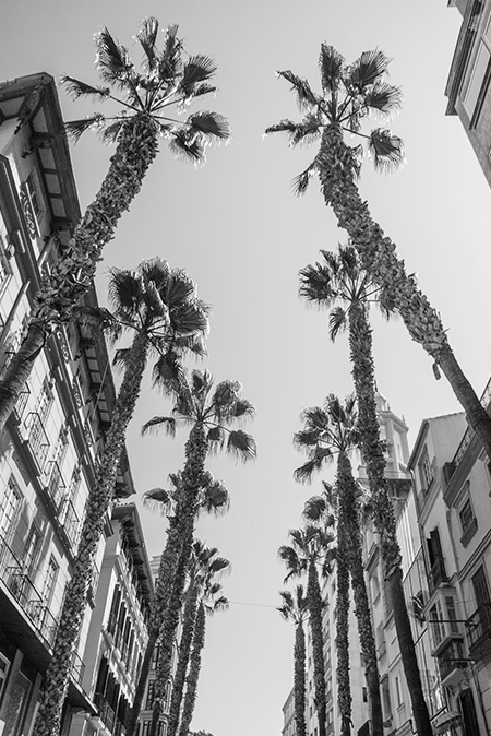 Málaga
