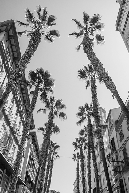 Mallorca