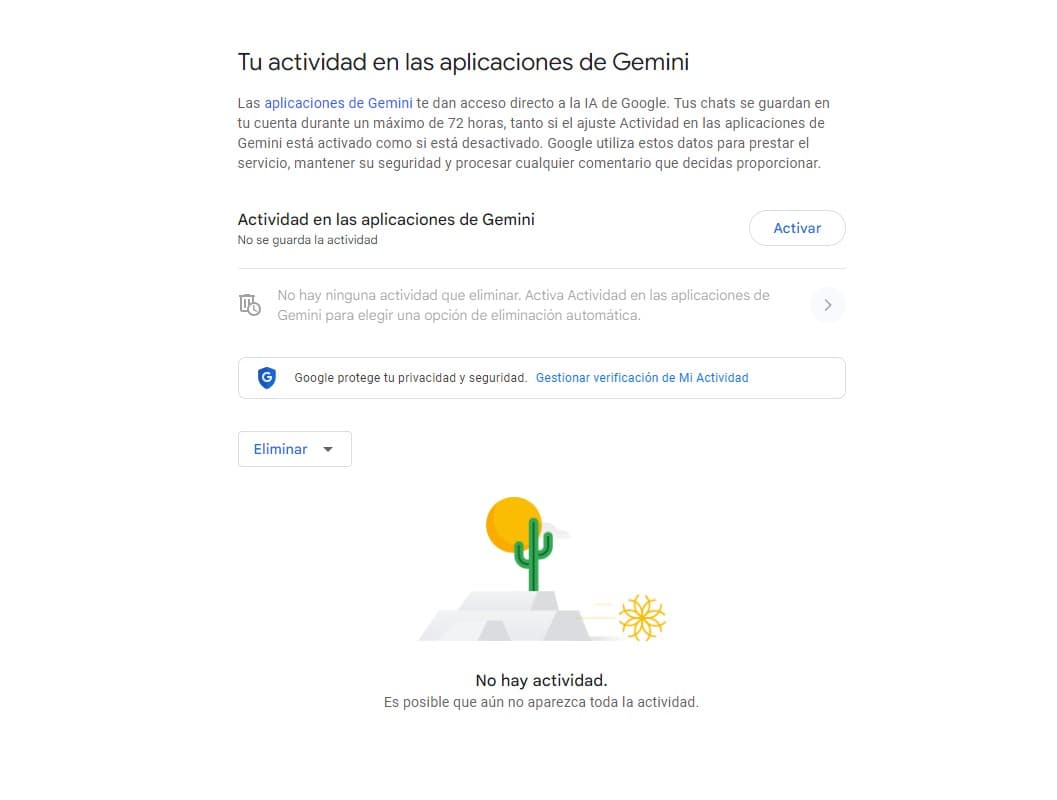 privacidad gemini